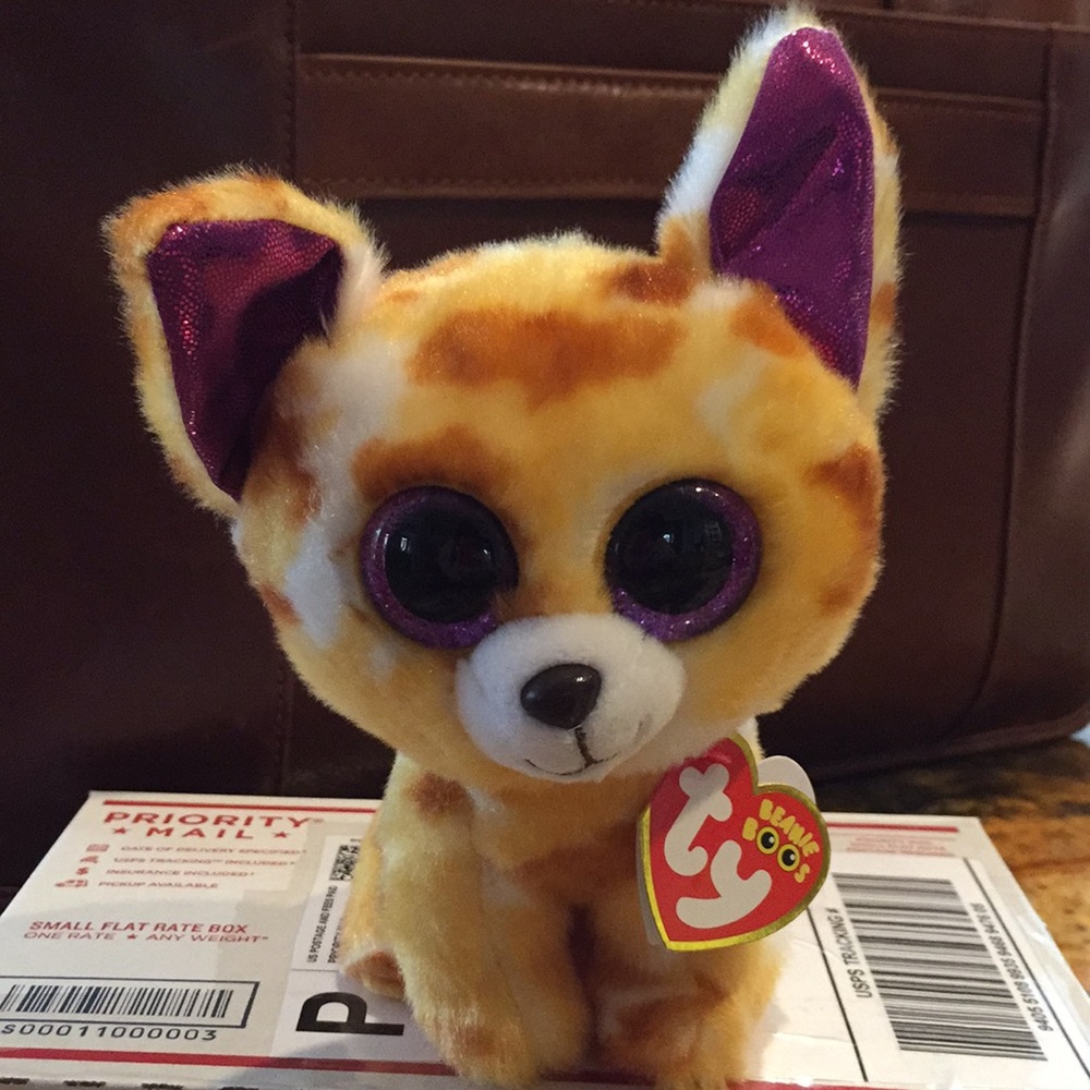 TY beanie babies NWT doggie Pablo/birthday JUNE 21